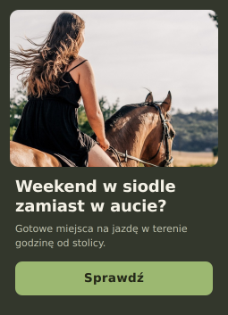 Rajdy konne w terenie – gdzie pojeździć konno pod Warszawą?