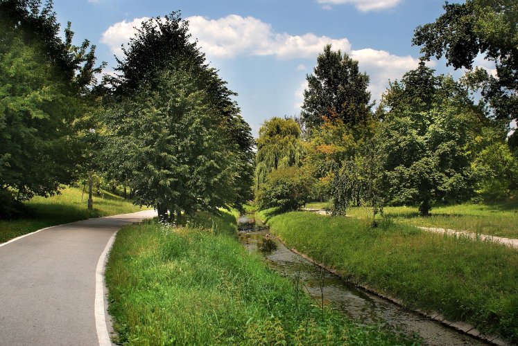 Rowerzysta na trasie nad rzeką